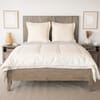 Naturepedic Alpaca Duvet Insert Comforter All-Season image