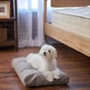 Naturepedic Organic Pet Bed with Washable Waterproof Cover image