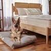 Naturepedic Organic Pet Bed with Washable Waterproof Cover image