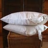 Crescent Moon Organic Dust Mite Pillow Cover and Encasement image