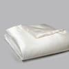 Perle All Season Silk Comforter with Silk Shell image