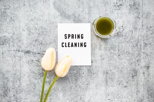Spring cleaning graphic