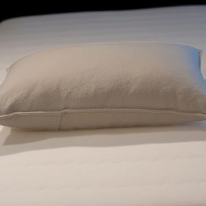 Healthy Choice Organic Wool Pillow