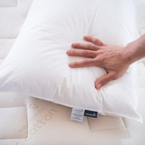 Naturepedic Down Pillow with Organic Cotton Fabric