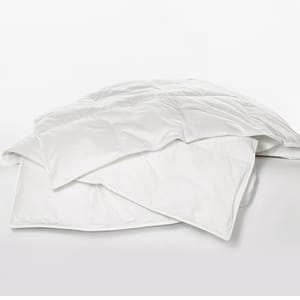Ogallala Mariposa Comforter/Duvet
