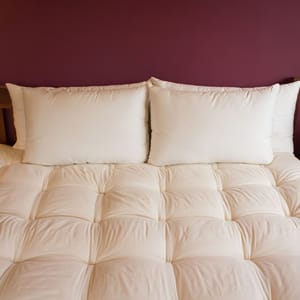 Holy Lamb Organics All Natural Wool Filled Bed Pillow