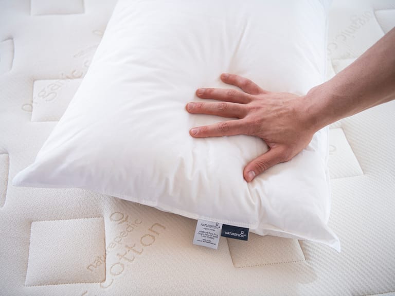 Naturepedic Down Pillow with Organic Cotton Fabric image