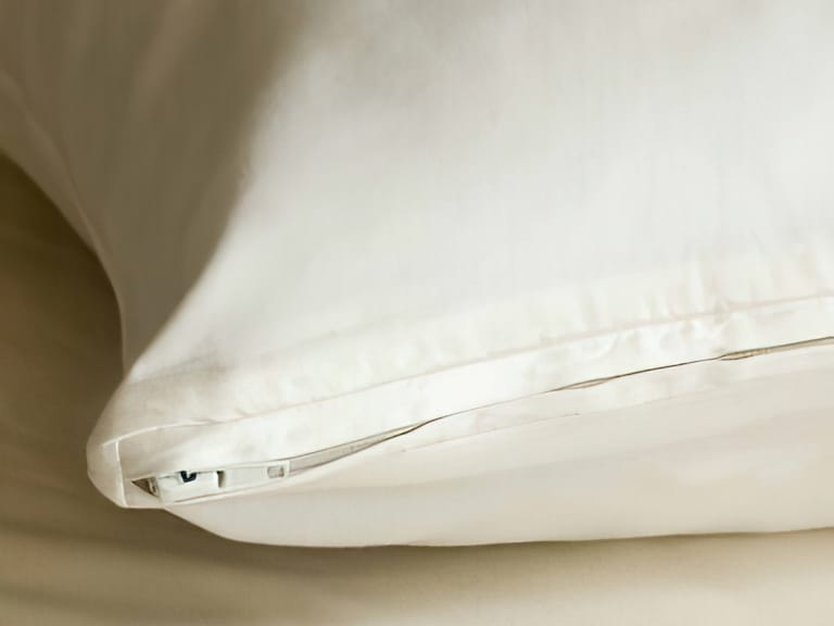 Coyuchi Organic Pillow Protector image