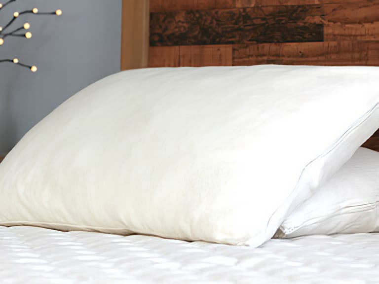 Savvy Rest Organic Kapok Pillow image