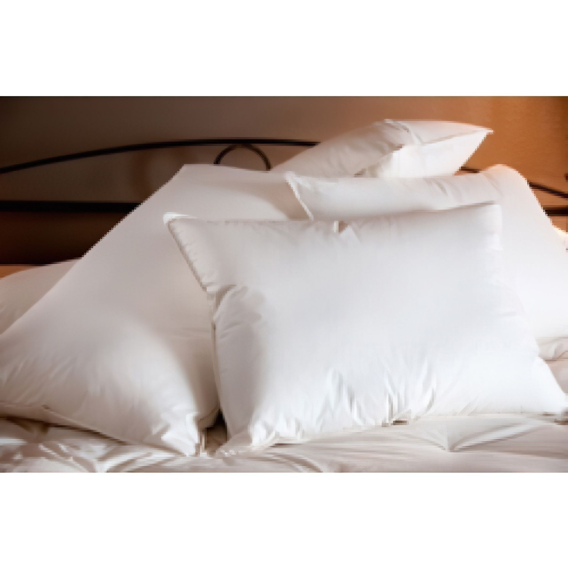 Ogallala Comfort Decorative Pillows