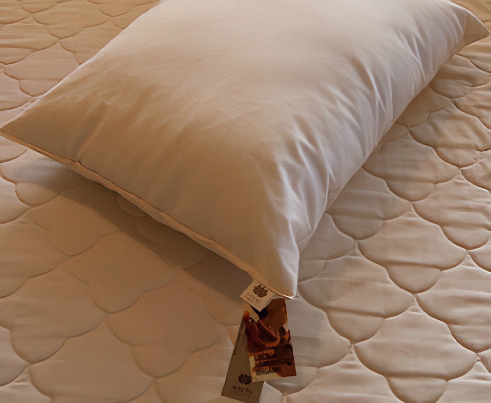 organic kapok mattress